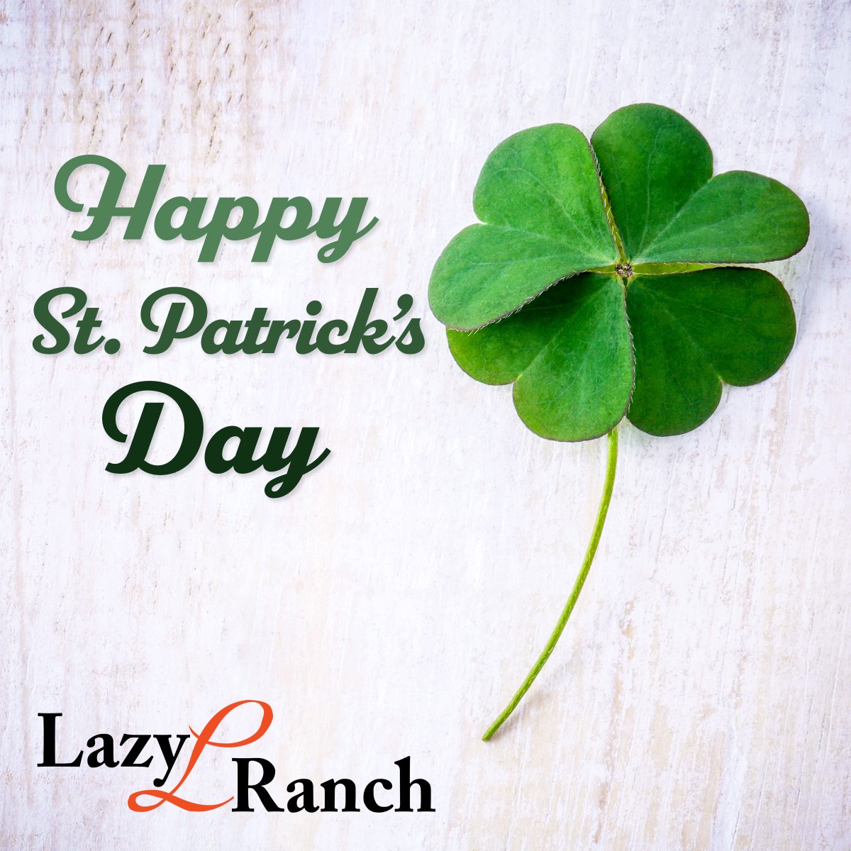 Happy Saint Patrick's Day from everyone here at Lazy L Ranch! 

Hope you all have the luck of the Irish today and everyday!