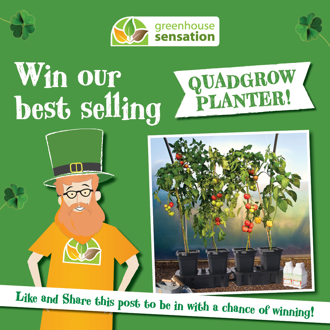 GardeningAngels's tweet photo. *WIN a Quadgrow Self-Watering Planter! ☘️🌈🥬💧
FOLLOW OUR PAGE, RETWEET and COMMENT on our Twitter post telling us what you would grow in your new Quadgrow.
The winner will be picked via prize draw on Wednesday 1st April 2020!
*UK delivery only.
#competition #Quadgrow #Win https://t.co/LsUgR1ZMgs