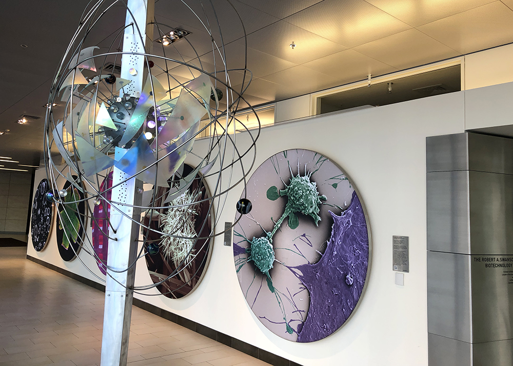 kochinstitute's tweet photo. We may not be able to unveil our 2020 Visions #KIimages  tonight, but we can give you a (safe and socially-distanced)  peek at our new images.

Far right: "Cloak and Swagger: Learning from the Enemy"

2nd to right: "20,000 Nanoleagues Under the SEM: Exploring the Power Within" https://t.co/X3KAjG4RZE