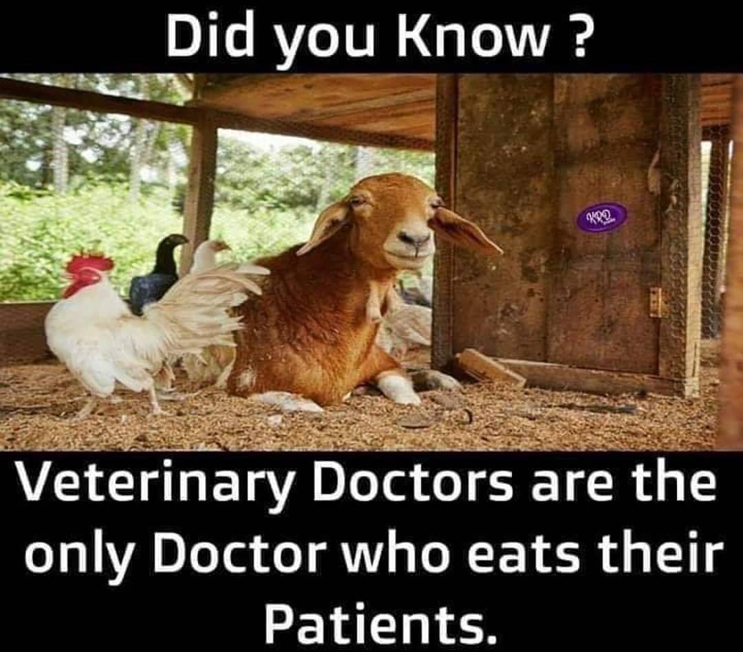 #veterinarydoctor #veterinaryclinic #animaldoctors #animalclinic #veterinarytechnician #babunuvvubtecha #yamadoobu #TrollsWorldTour #memesbro #memes #dailymemes #dailymemesforyou #viral #viralpost #sarileruneekevvaru #funnymemes