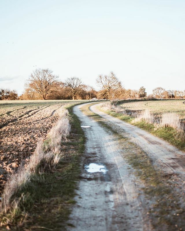 This morning I am grateful for

Our home
A family that is loves one another
Our garden
This beautiful weather
Open spaces
The internet
Online shopping
Healthcare workers
Our health!

Your turn. Make your list in the comments below. There’s an awful LOT t… ift.tt/3a8pX9H