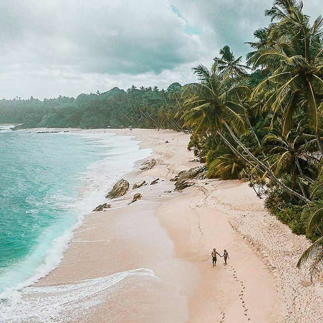 the_edenvillas's tweet photo. Why not isolate here? Please do not cancel your trips to Sri lanka, this beautiful, magical island; postpone to a later date!!!! This beautiful country relies heavily on its tourism ❤ Stay healthy, stay safe, postpone but do not cancel 🍍☀️ Photo by @… https://t.co/0QQLwC9Mw1 https://t.co/4ESeScH2ss