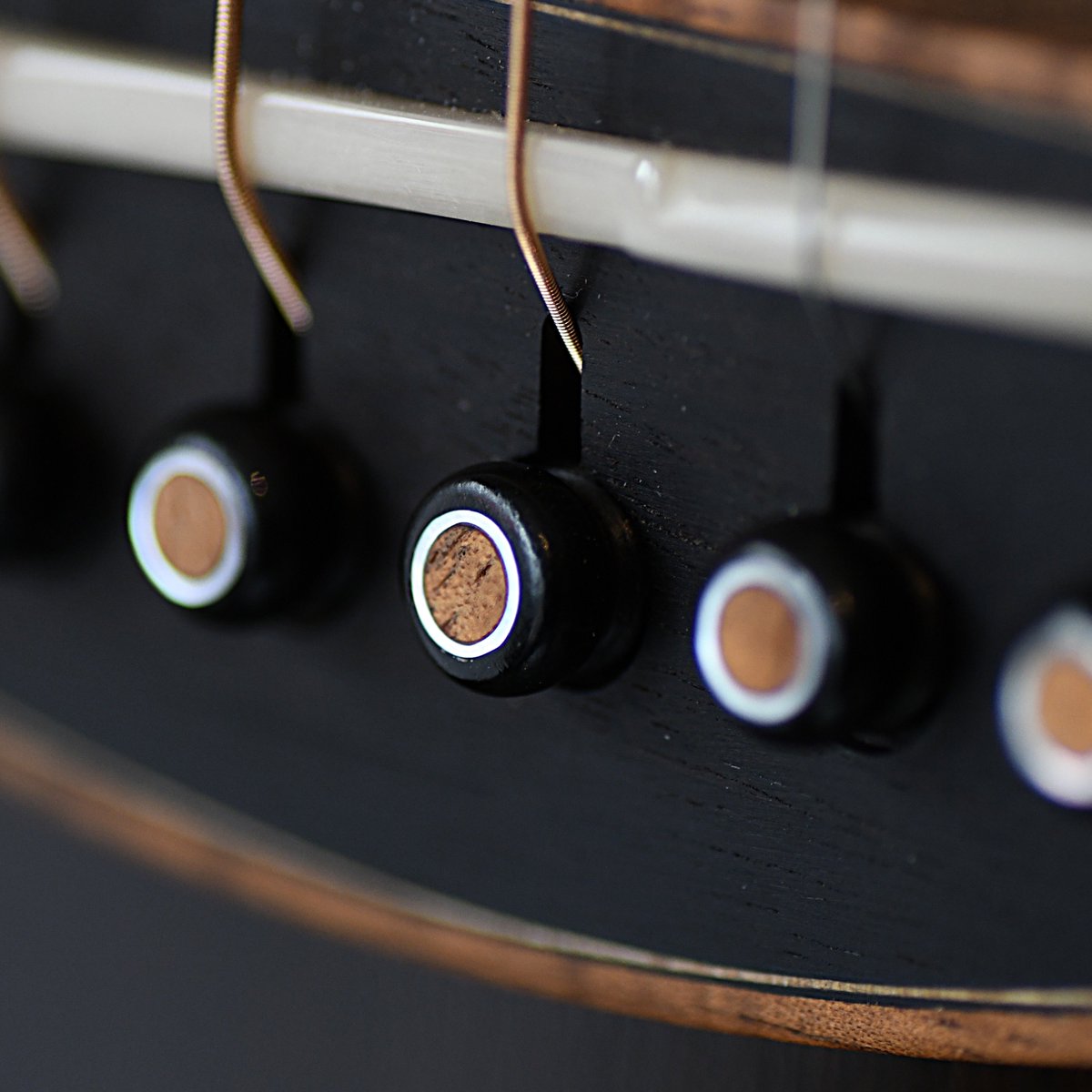 The Acoustic Music Company tweet media