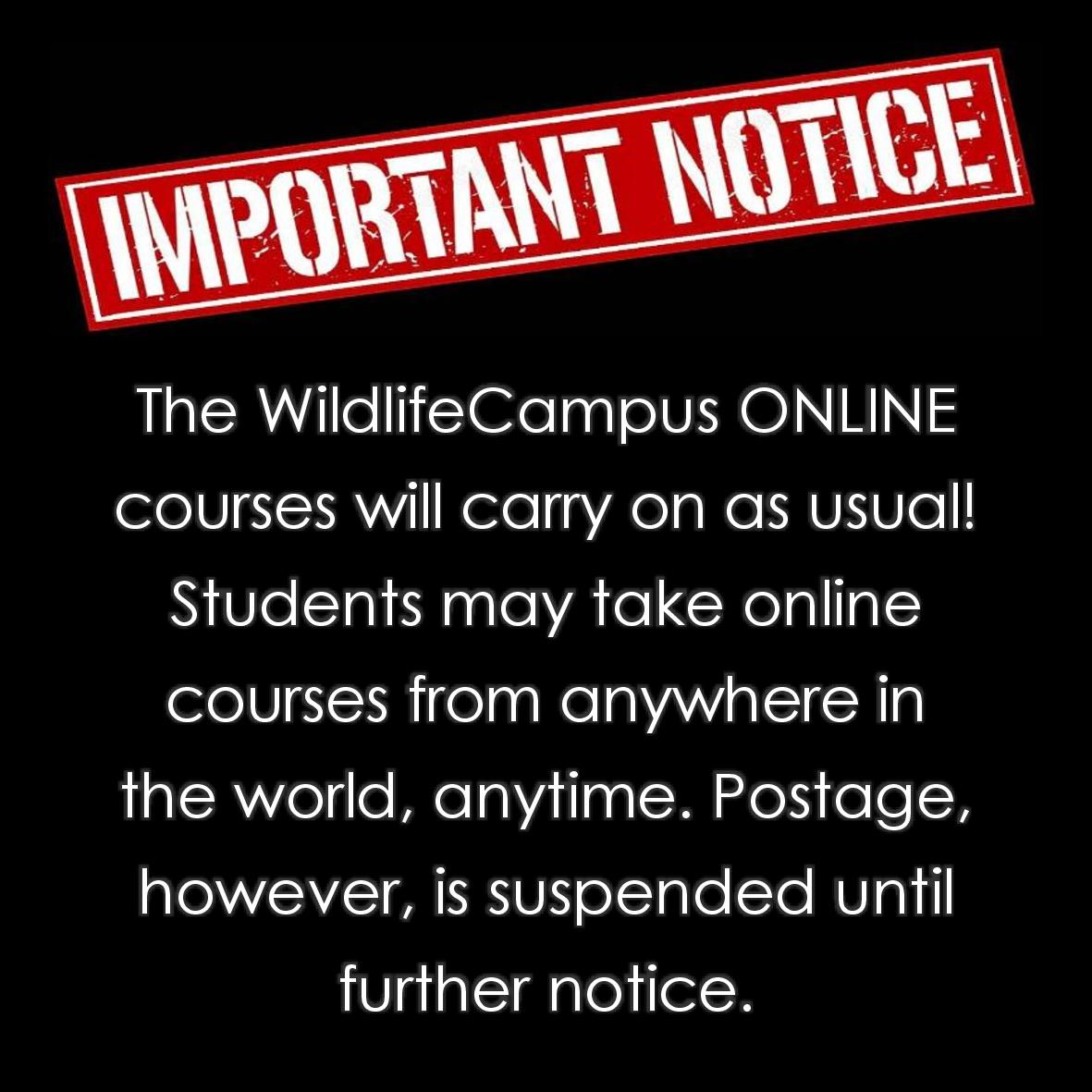 WildlifeCampus's tweet image. The WildlifeCampus Team continues to work remotely. Our website remains fully functional. Should you have any queries, we are just an email away! info@wildlifecampus.com

#FGASA #Endorsed #TheoryTrainingProvider #SelfStudy #DistanceLearning #OnlineCourses #EnhanceYourKnowledge