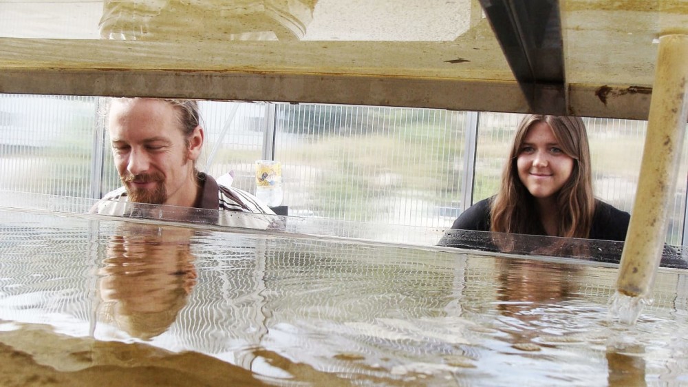 Swedish Algae Factory tar in 53 MSEK för expansion av miljösmart produkt utvunnen från alger mynewsdesk.com/se/chalmers-ve…