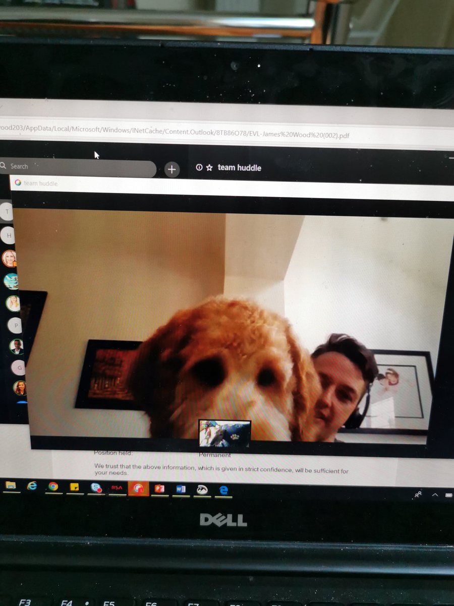 JamesWoodmmrb's tweet photo. Wfh highlights so far include trying to get peoples dogs to Skype each other. #hellothisisdog https://t.co/HusbeG8gte