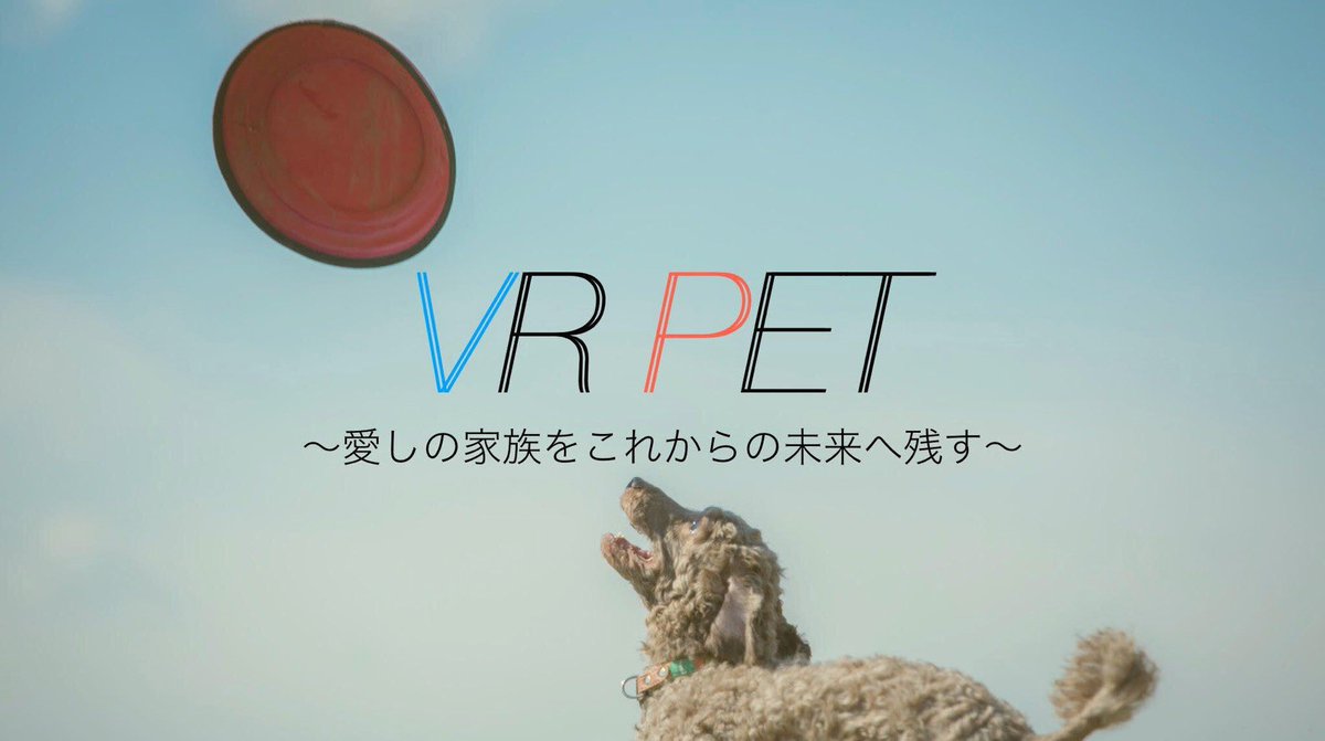 vr_post's tweet photo. この度VR  postはお客様のご要望にお応えしてペット版のサービスをさせていただきます！
その名も[VR pet]
「自分の飼っているかわいいワンチャン・ネコちゃんと新しい形の想い出作りをしませんか？」
ということをコンセプトにやらせていただきます😆 https://t.co/EFWgb8BiFQ