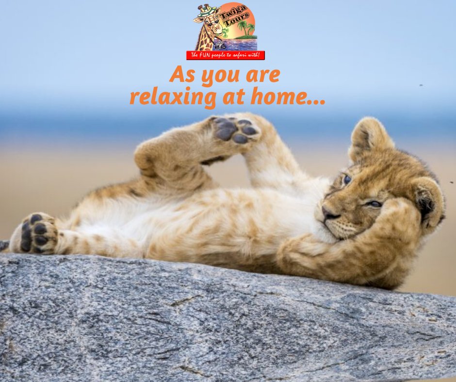 twigatours's tweet photo. As you are at home, this is a great opportunity for you to plan your next #Safari with #TwigaTours.

#StayPositive #SafarinaTwiga #Weareinthistogether. #SaveTourism #stayhomechallenge https://t.co/CePTxvCkAZ