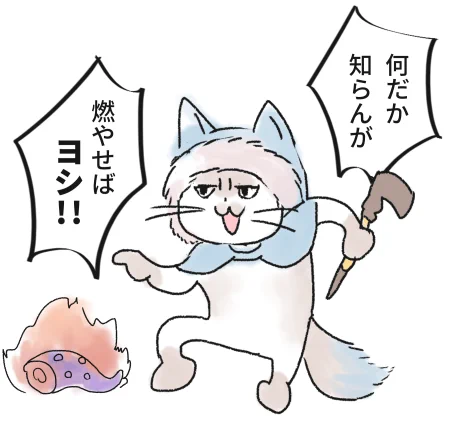 現場Buster猫 