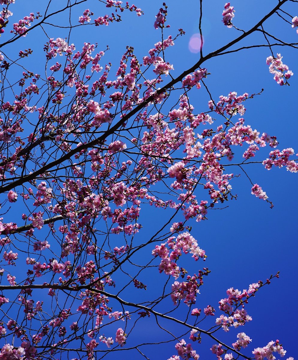 Sending positive thoughts to you all. Many places in Malmö are still open so keep supporting your local businesses in the ways that you can. 💛  

Keep in mind:
- To stay at home if you're not feeling well
- Cough and sneeze into the crook of your arm
- And wash those hands