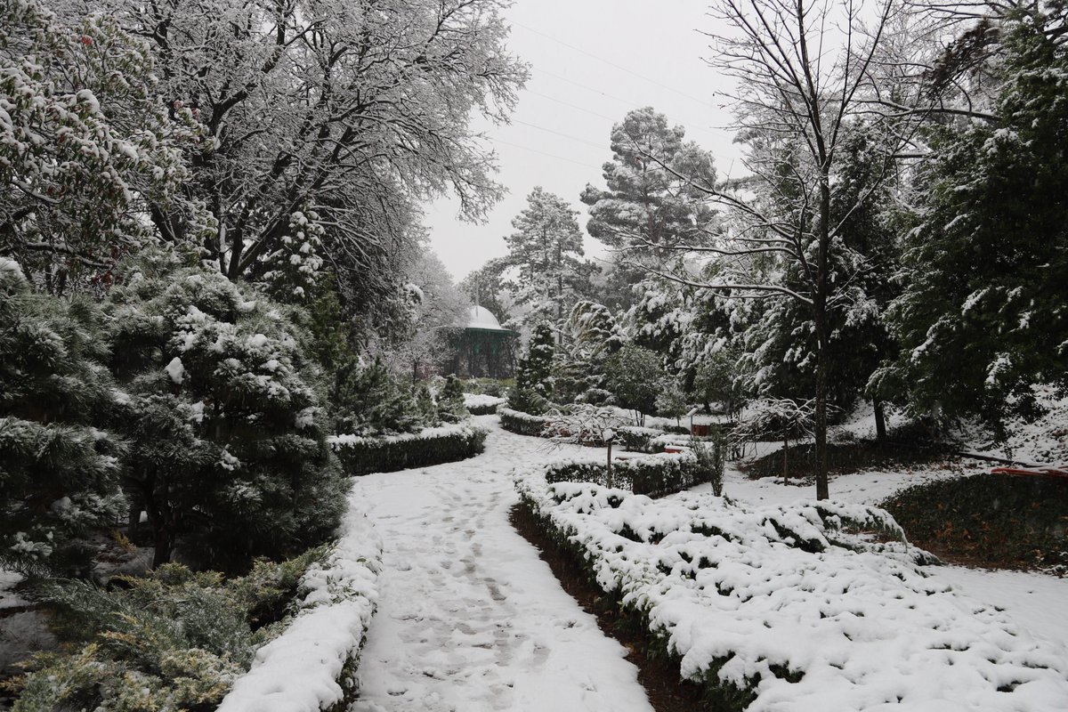 NBGGEO's tweet photo. National Botanical Garden Of Georgia today #snow #botanical #garden #spring #nbgg #Tbilisi <3 https://t.co/YcbIWmrJrZ