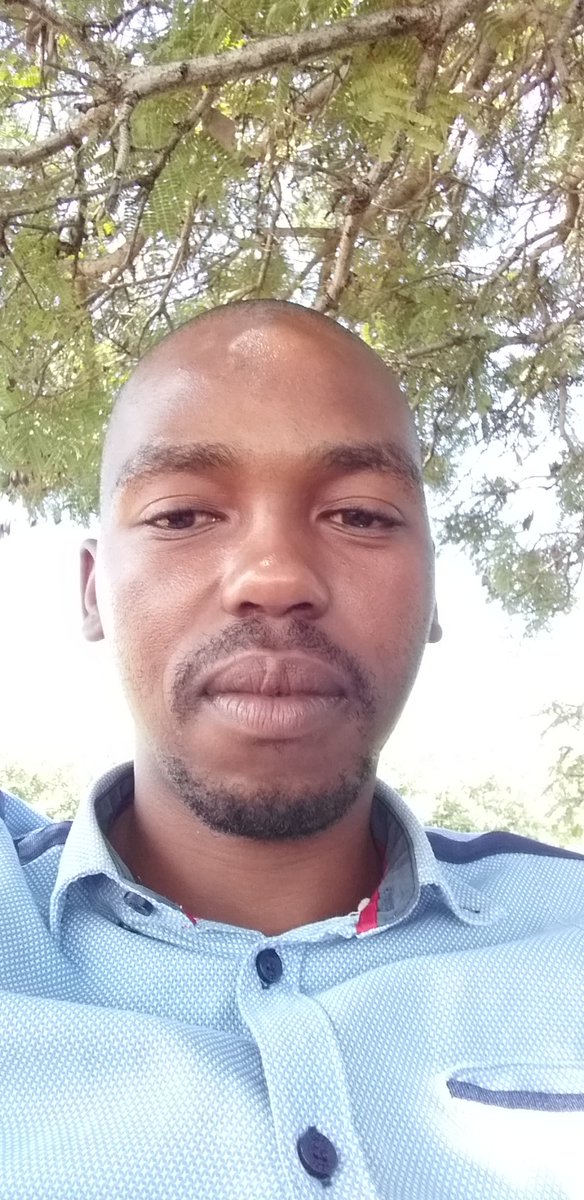 SaltationL's tweet image. 