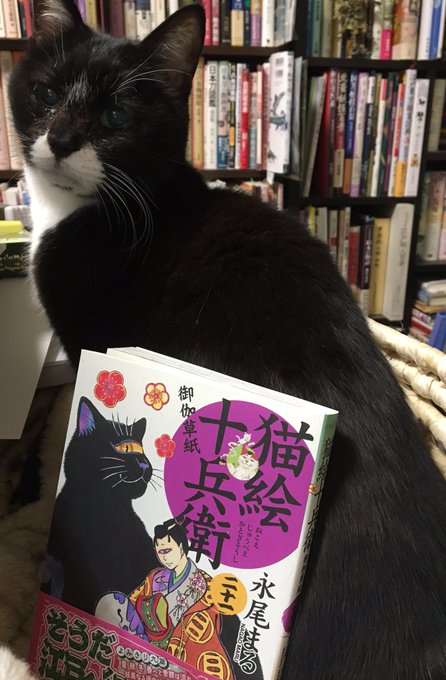 猫絵十兵衛 御伽草紙 アニメ化希望 作者は 原作は 和to Share