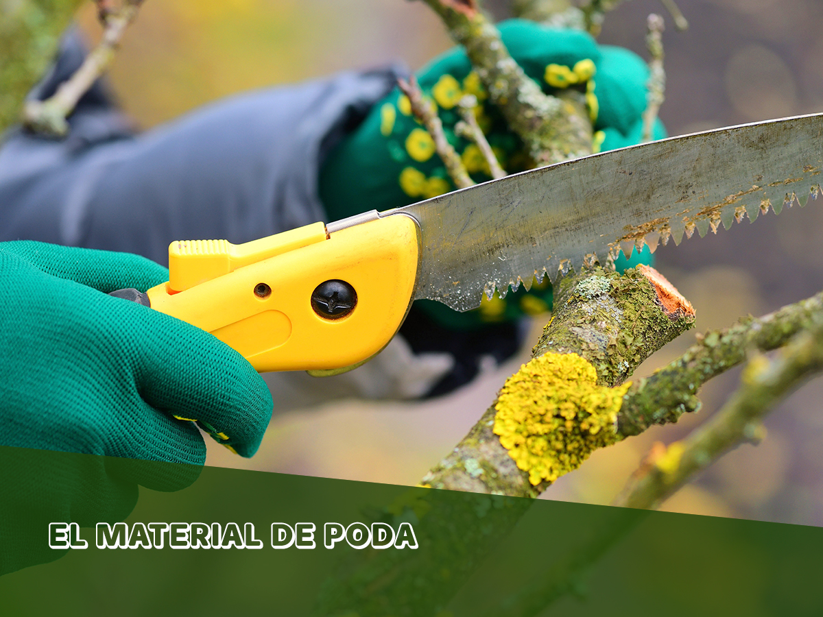 Es indispensable escoger bien el material de poda🌳 para hacerlo correctamente, usar los materiales adecuados, bien afilados✂ y que no estén oxidados. Te dejamos algunos consejos🙌🏻bit.ly/2TlvMuq

#MaquinariadeJardineria #Jardín #Poda #Artículo