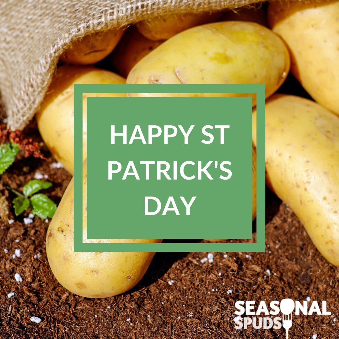 Happy #StPatricksDay!

Why not cook a traditional Irish mashed potato dish tonight to accompany a lovely roast beef or chicken. You can find mashed potato recipes on our website: seasonalspuds.com/recipes?keywor…
