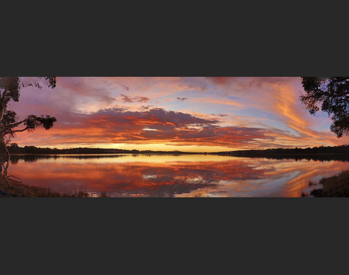 amazingsthcoast's tweet photo. Sometimes turmoil can have the unexpected result of reflecting amazing beauty.
So while there's anxiety in the shopping aisles, we suggest you take every moment to notice goodness all around you.
Let's consider ourselves lucky ❤️
📸 Ross Ramm ✨
#doitinWA https://t.co/cPTZv9D0d6