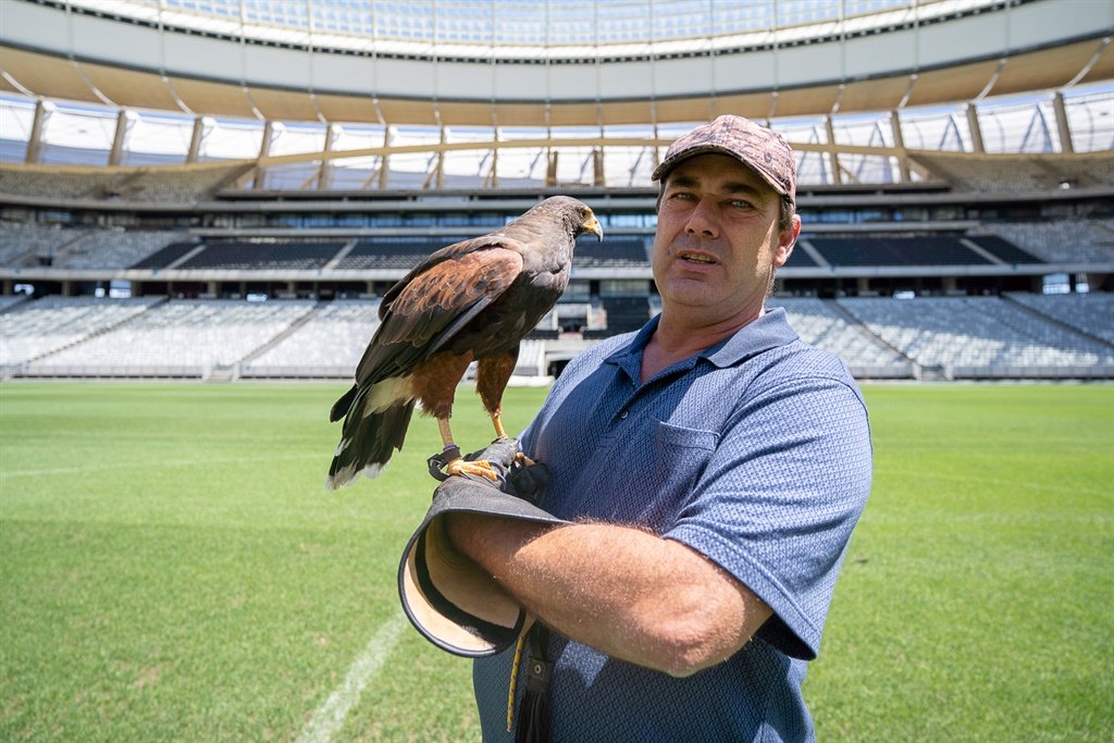 News24's tweet photo. The Cape Town Stadium has a serious issue with pigeon poop so they’re employing hawks to solve it | @BISouthAfrica 

https://t.co/PNP0FcreNt https://t.co/8oD0JyxY12