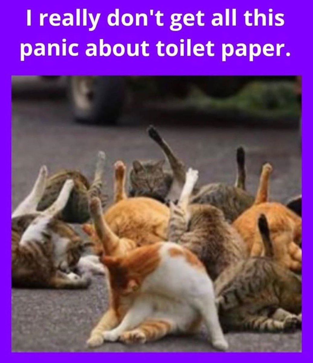 If you can’t find toilet paper… View from the Teapot