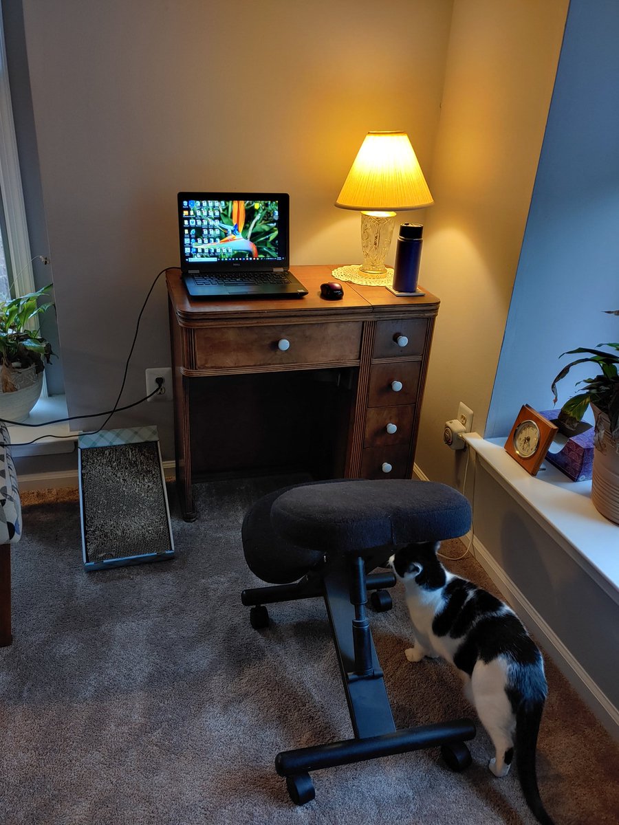 Still trying to find the right work space.  Laptop on the sofa is not great for my posture.  Let's try this today.  <a href="/WidenerUniv/">Widener University</a> Physical Therapy.  #WeAreAllInThisTogether