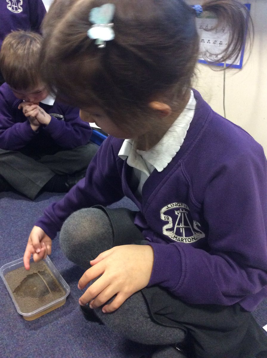 Lingfield Primary tweet media