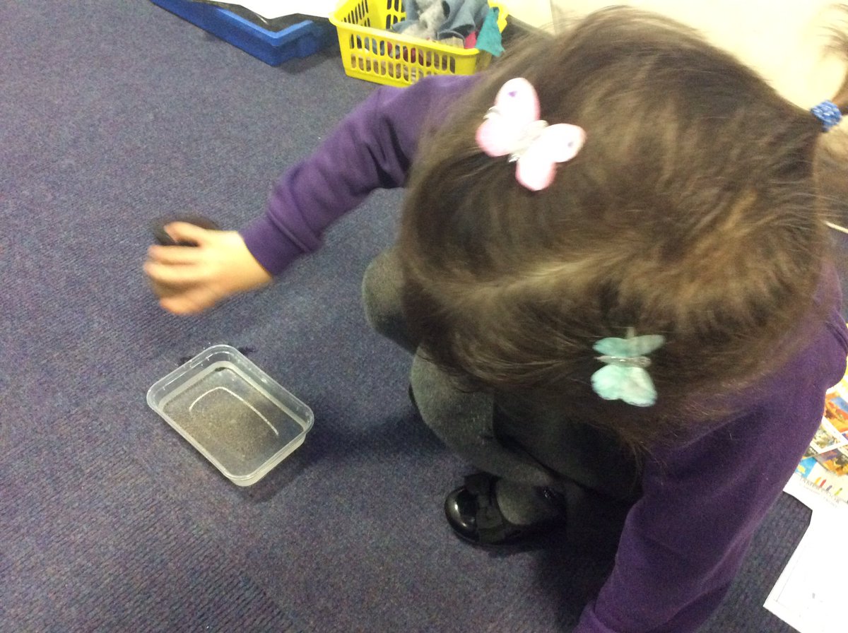 Lingfield Primary tweet media