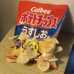 お菓子が育ちすぎちゃった!勝手に生えてきた感が凄い!