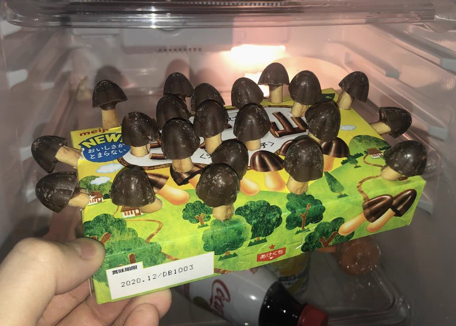 お菓子が育ちすぎちゃったｗｗｗ勝手に生えてきた感が凄いｗｗｗｗｗｗ