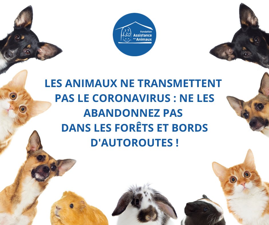 FAAOfficiel's tweet photo. ⚠ L’Organisation Mondiale de la Santé est formelle : les animaux ne peuvent pas être atteints par le #coronavirus, par conséquent, ils ne sont pas impliqués dans sa propagation ! Soyez responsables, ne les abandonnez pas ! Merci de partager.

👉https://t.co/bK0yiP0341 https://t.co/hS7kzHkQss