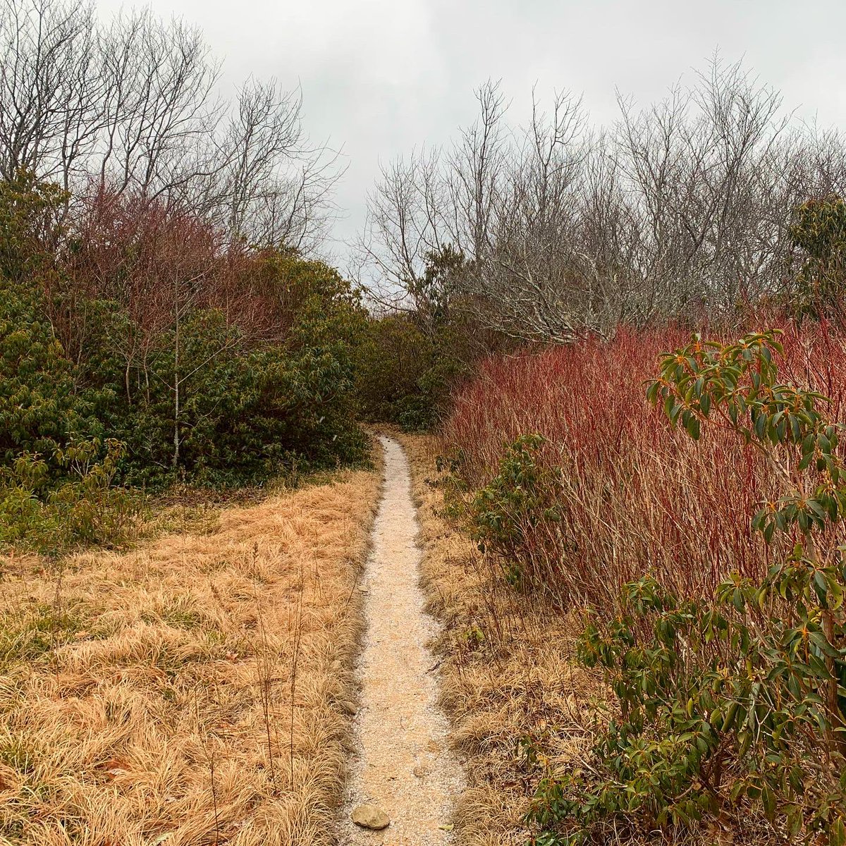 GreatSmokyNPS's tweet photo. Not a bad place to take a break!⁣
⁣
#hiking in the Smokies can take you to some amazing places.⁣
⁣
What’s your go to spot?⁣
⁣ https://t.co/pbuAoY7tDt