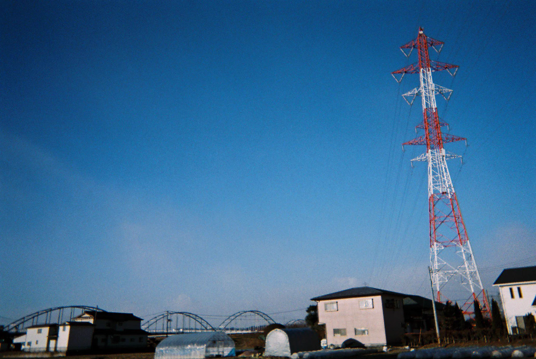 母に渡した「写ルン」ですを現像してきたら、とんでもなくセンスが良かった！！1日1枚だけnogennsenn ・・・。