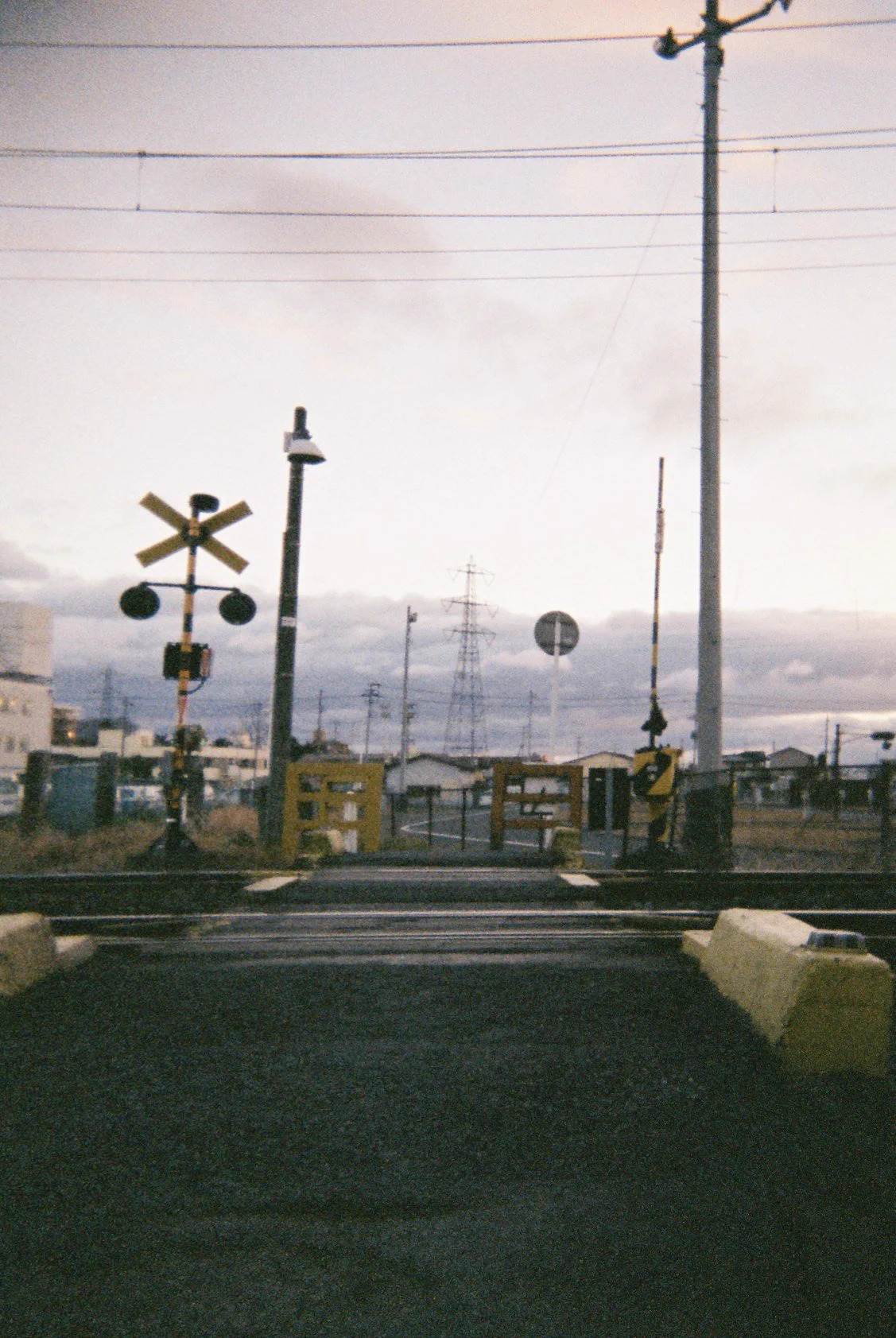 母に渡した「写ルン」ですを現像してきたら、とんでもなくセンスが良かった！！1日1枚だけnogennsenn ・・・。