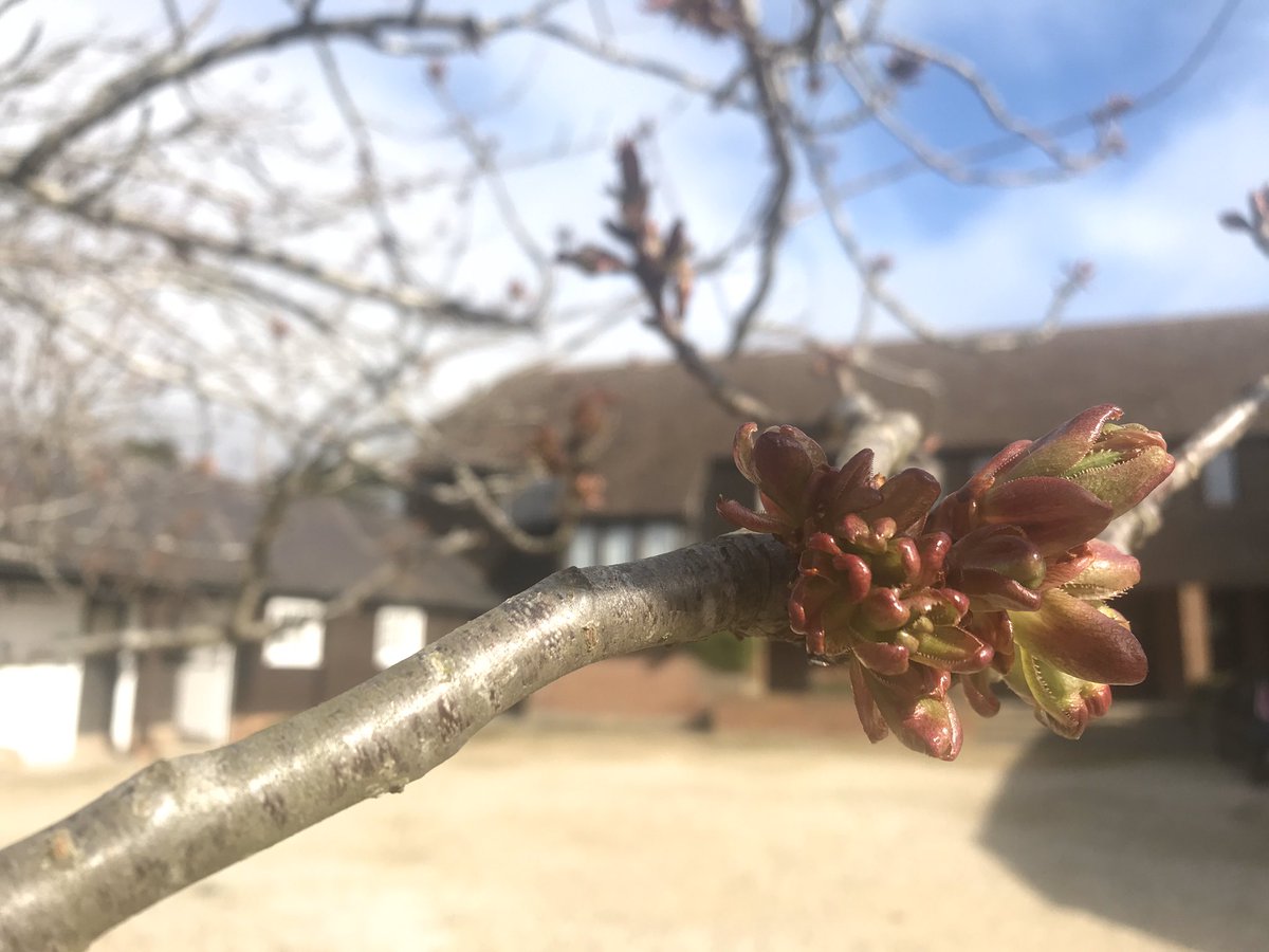 Is it spring yet!?!? 
We can still provide accommodation for those that require to travel to Oxfordshire for essential work etc.  Peace of mind that you can minimise contact in our self contained apartments #EssentialTravel #COVID19 #Business