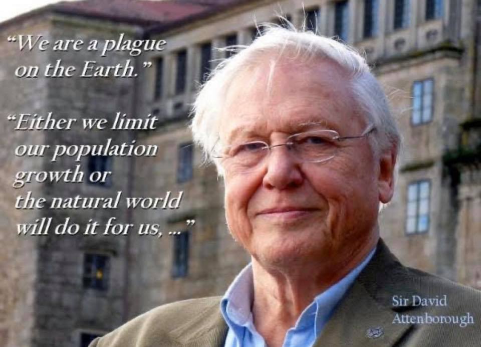 ₵ Ɇ ₦ ł ₦ on Twitter: "We are a plague on Earth.... Either we limit our population growth, or the natural world will do it for us, and the natural world