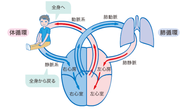 循環器のtwitterイラスト検索結果 古い順