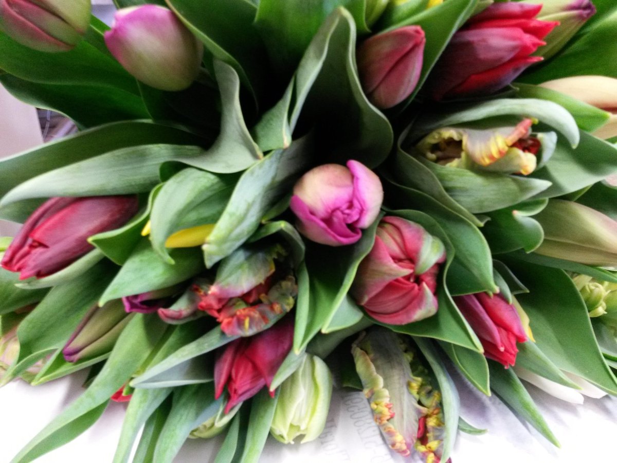 Lieve mensen, wat een bizarre tijd... Om alle zorgkosten te kunnen blijven betalen voor iedereen, laten we ook proberen om de economie draaiende te houden. Vergeet dus niet om een bosje bloemen te bestellen bij uw lokale bloemenwinkel 🌷Sterkte allen 🍀💪🌷