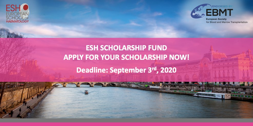 SCHOLARSHIPS are available: APPLY NOW!
Translational Research Conference BONE MARROW FAILURE DISORDERS: From the cell to the cure of the disease #ESHBMFD2020
To apply: bit.ly/2xCzRlt
More information: bit.ly/2So79MZ
Nov 13-15 2020 in Paris
#ESHSCHOLARSHIPFUND