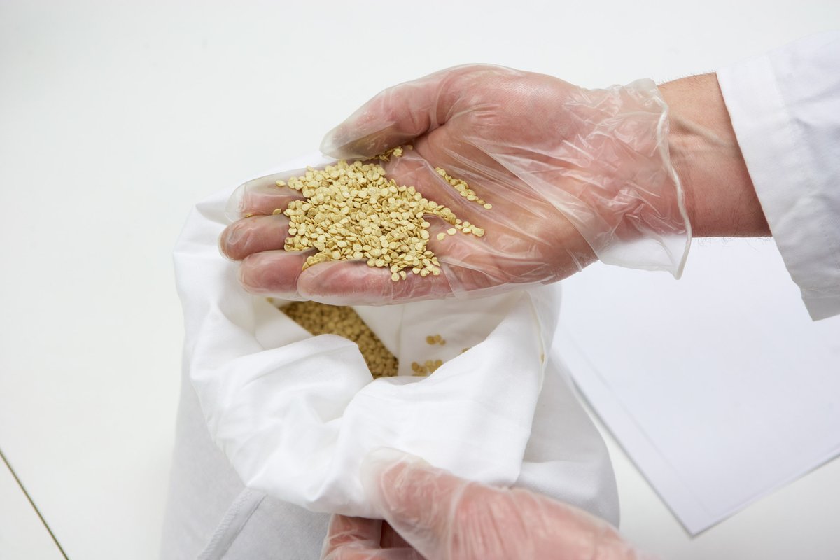 Naktuinbouw's tweet image. Onze trainingsweek met Engelstalige trainingen in Bedrijfshygiëne en Bemonstering verzetten we naar september. Er is nog een aantal plekjes vrij! #Plantsampling #Seedsampling Companyhygiëne vegetable/ornamentalcrops bit.ly/3d5QKFl