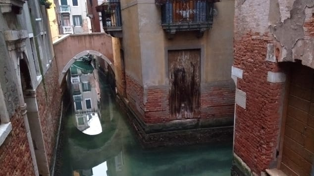DiversifiedTF's tweet photo. Mother Earth is slowly recovering from us. Snapshot of #Venice https://t.co/X6S5MzkbdX