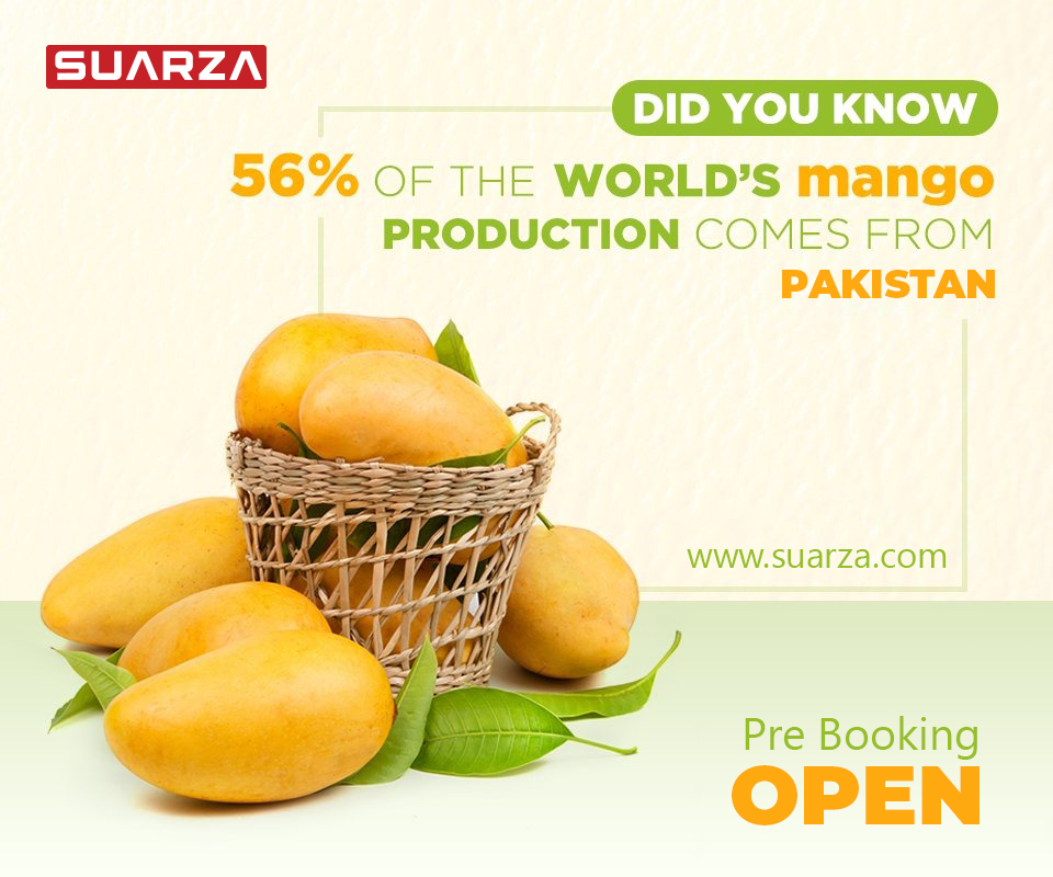 suarzagroup's tweet photo. 𝟱𝟲% 𝗼𝗳 𝗪𝗼𝗿𝗹𝗱'𝘀 𝗠𝗮𝗻𝗴𝗼 𝗣𝗿𝗼𝗱𝘂𝗰𝘁𝗶𝗼𝗻 𝗖𝗼𝗺𝗲𝘀 𝗳𝗿𝗼𝗺 𝗣𝗮𝗸𝗶𝘀𝘁𝗮𝗻.
𝗖𝗼𝗻𝘁𝗮𝗰𝘁 𝗳𝗼𝗿 𝗣𝗿𝗲-𝗕𝗼𝗼𝗸𝗶𝗻𝗴

#AnwarRatool #doseri #chaunsa #Chunsa #Langra #MultaniMango #Multan #sindhri #gift #MangoesInKarachi #MangoesIslamabad #buyOnlineMango https://t.co/cgY6hpOVgj