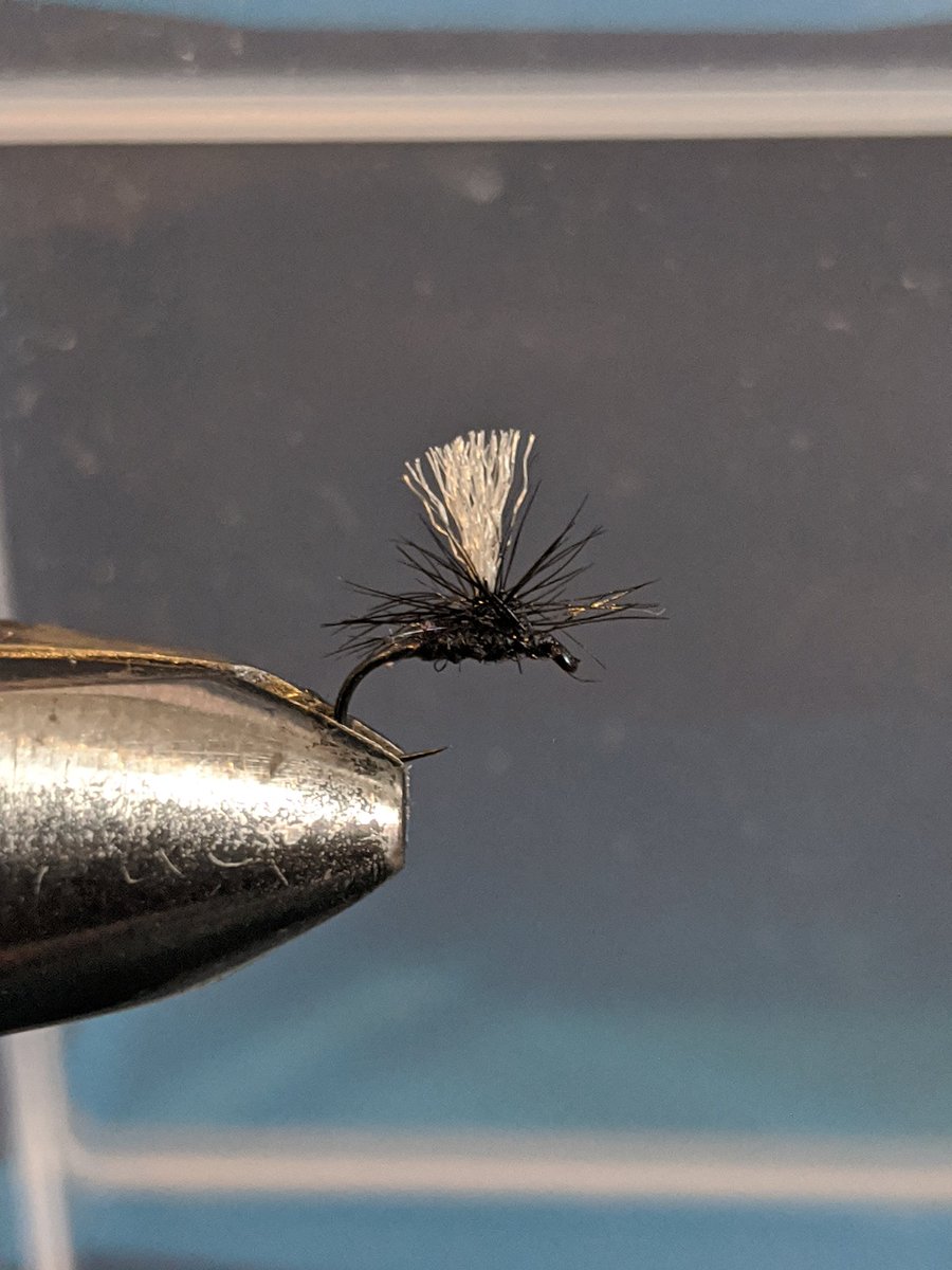 PatrickRaine1's tweet photo. Size #21 para midge. Hackle could be neater (not that the fish will care) #browntrout #dryfly #flyfishing https://t.co/ckxaWDEYc6