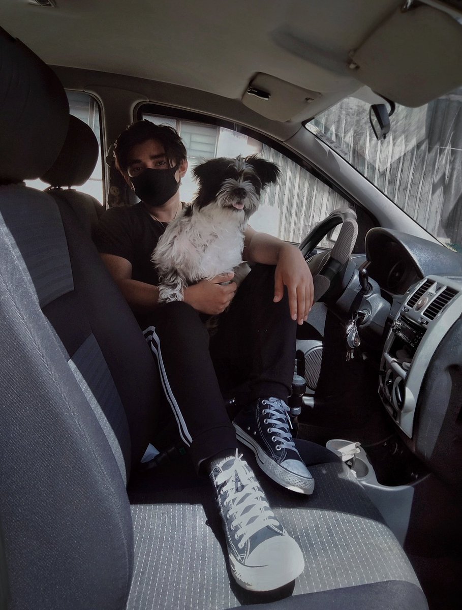 Iancyrusico's tweet photo. Servin' you some couple-pawtrait  🐶 https://t.co/pcQIlkNyKK