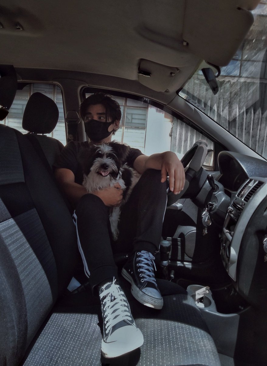 Iancyrusico's tweet photo. Servin' you some couple-pawtrait  🐶 https://t.co/pcQIlkNyKK