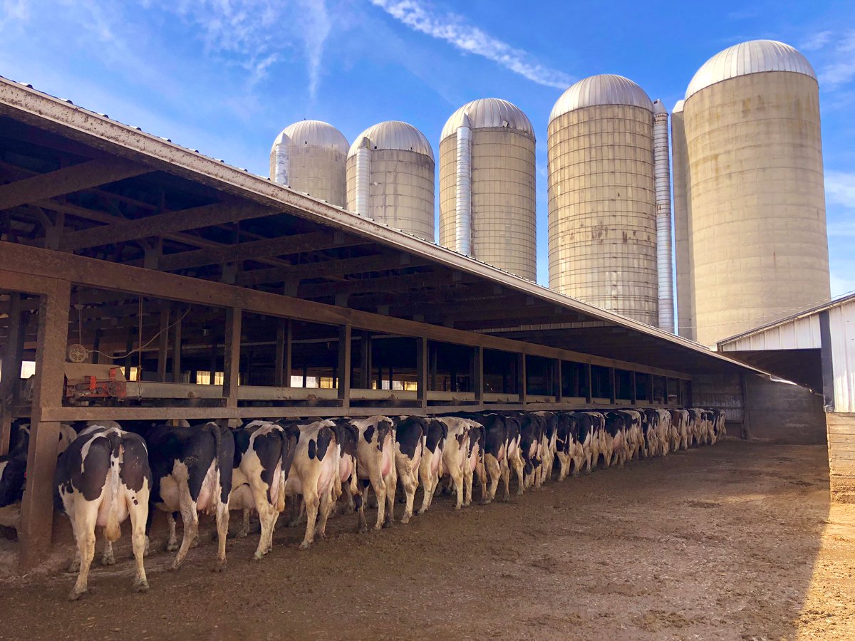 Kip Siegler Farming On Twitter We Just Keep On Keeping On It S What We Do Milkmeansmore Michfarmbureau Michdeptofag