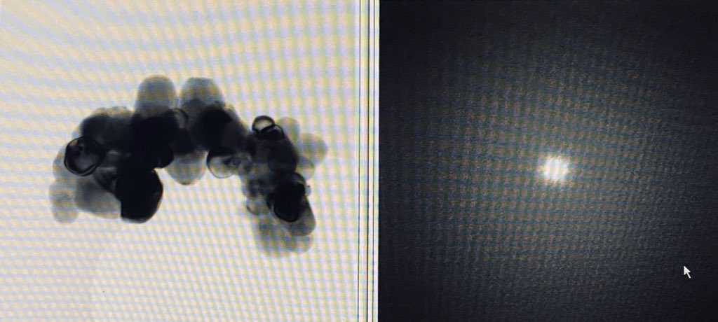 m_echeve's tweet photo. Wormlike Body Right? 😉
.
.
.
#tio2NPs #tem #transmissionelectronmicroscopy #em #electronmicroscopyscience #fieldemission #electrons #fft https://t.co/KZHlbHRf2F