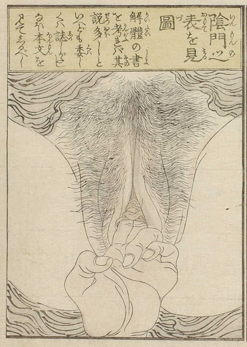 限定数のみ 閨中紀聞 枕文庫 渓斎英泉 春画 浮世絵 第三編 - crumiller.com