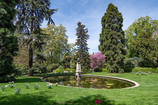 RJBOTANICO's tweet photo. Date un paseo hoy por el @RJBOTANICO sin salir de casa.
+ info: https://t.co/EHfO7pxvnb
#QuédateEnCasa https://t.co/3xB1JLbEFk