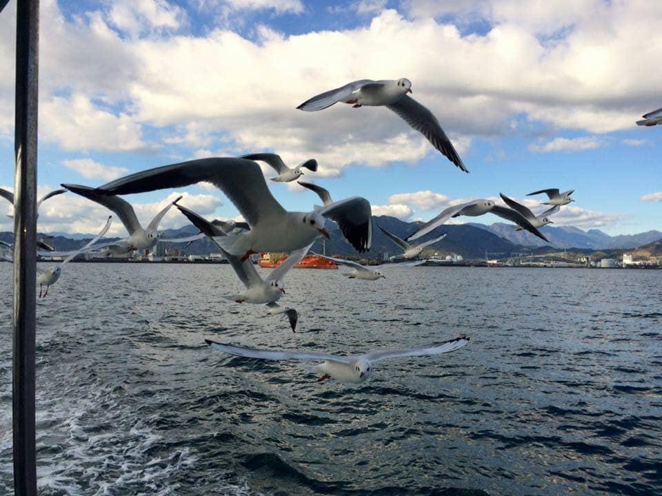 Wong (@wong33465211) on Twitter photo 