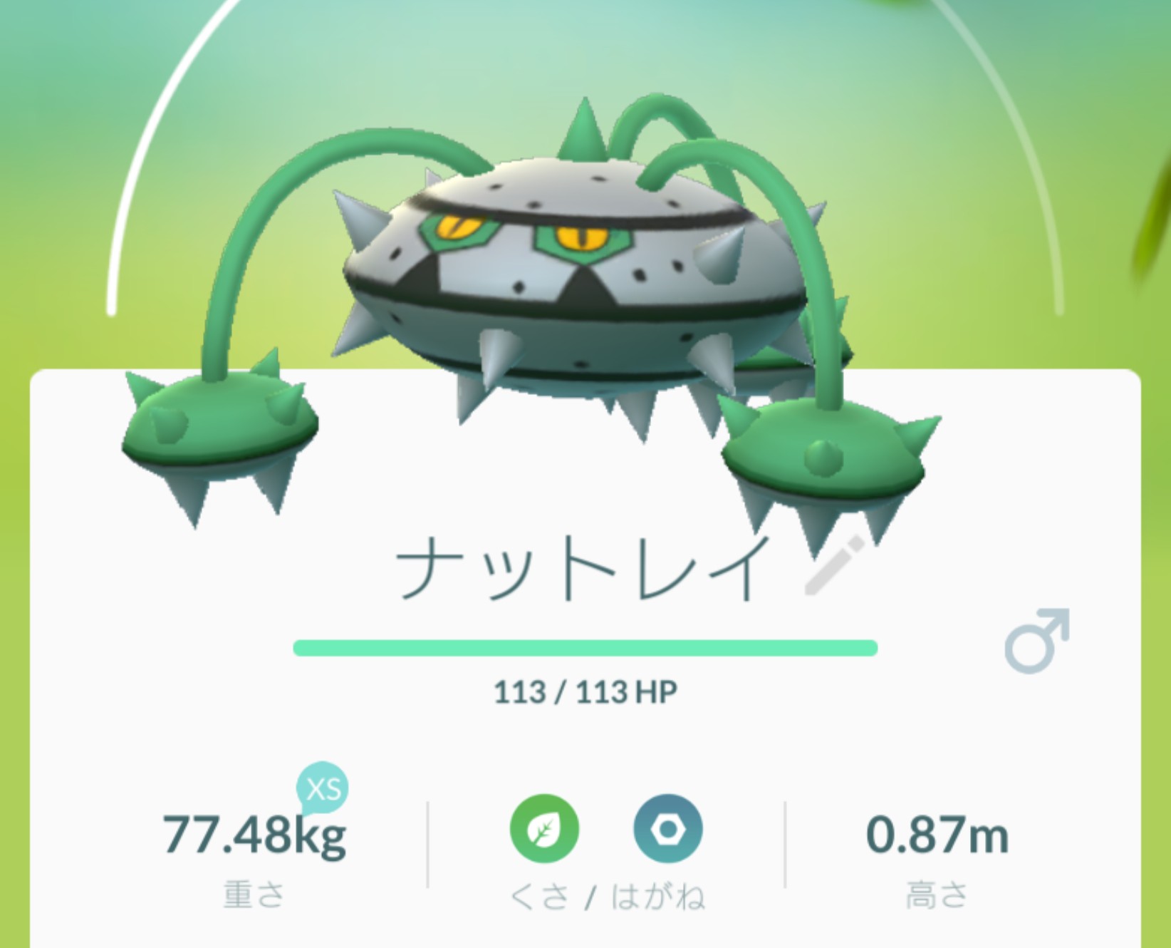 Mitsuki オブ Mitsuki Twitter પર ふしぎなアメをぶっこんでテッシードを進化させたよ なんだろ これ どんな草やねん テッシード ナットレイ ポケモンgo