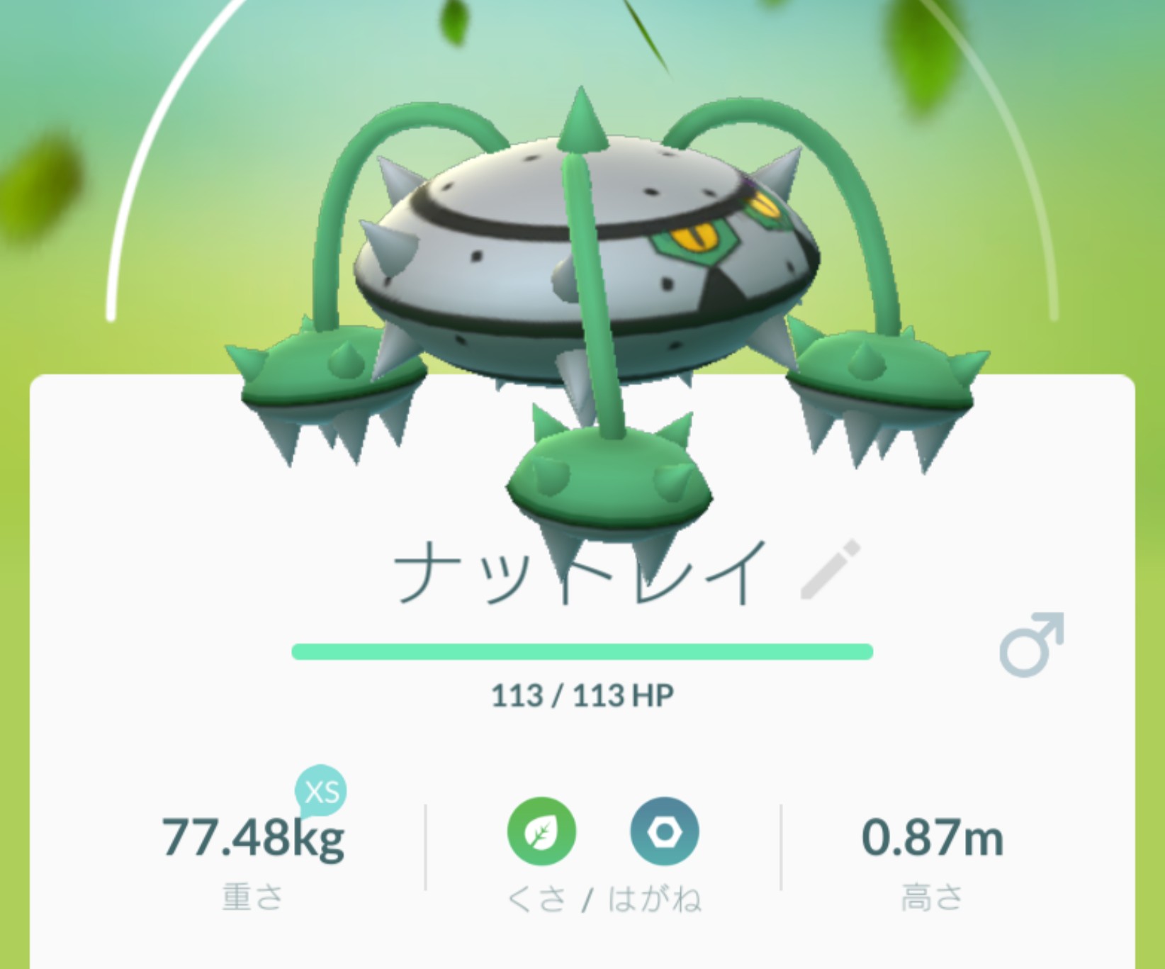 Mitsuki オブ Mitsuki ふしぎなアメをぶっこんでテッシードを進化させたよ なんだろ これ どんな草やねん テッシード ナットレイ ポケモンgo T Co Adkmdbypp6 Twitter
