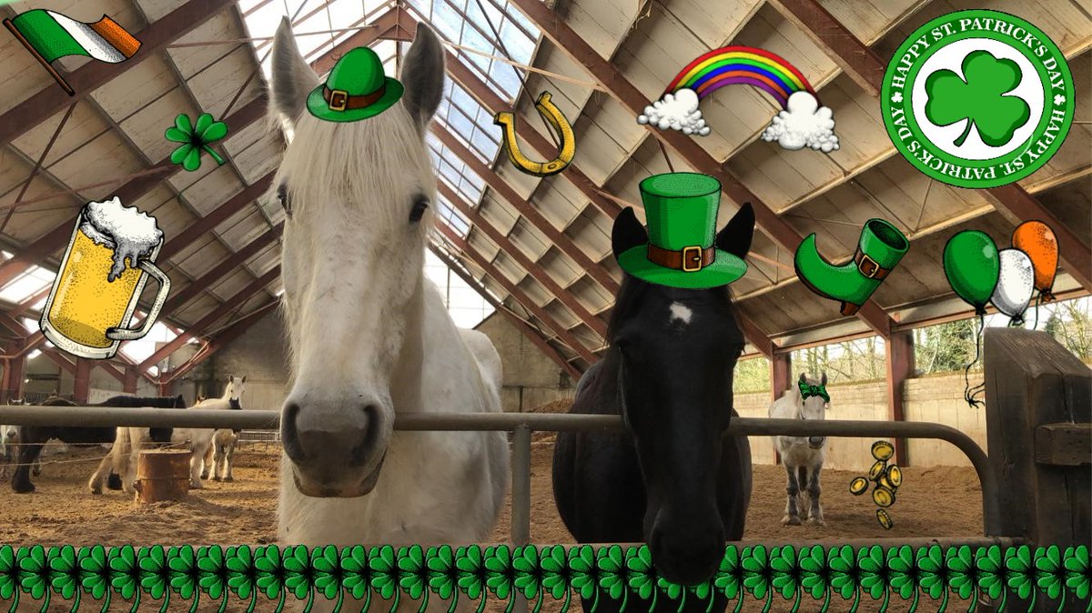 killarneystable's tweet image. Happy St Patrick's Day from #Ralph, #Mossy and all of us here at Killarney Riding Stables 🍀
-
-
-
#stpatricksday #Killarneynationalpark #Killarneyridingstables #Killarney #Kerry #Horses #DaytourKerry #Stables #Ireland #HorseridinginKerry #Travel #Horseriding #Tour